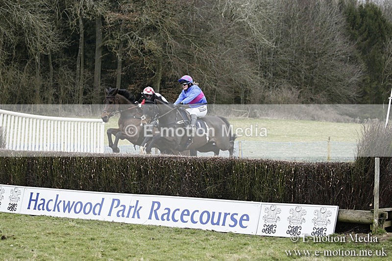 PtP 110318 153 - Hampshire Hunt Point-to-Point Hackwood Park 11/03/18