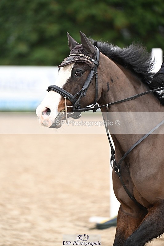 260222A-112408-00598 - 50cm All sections