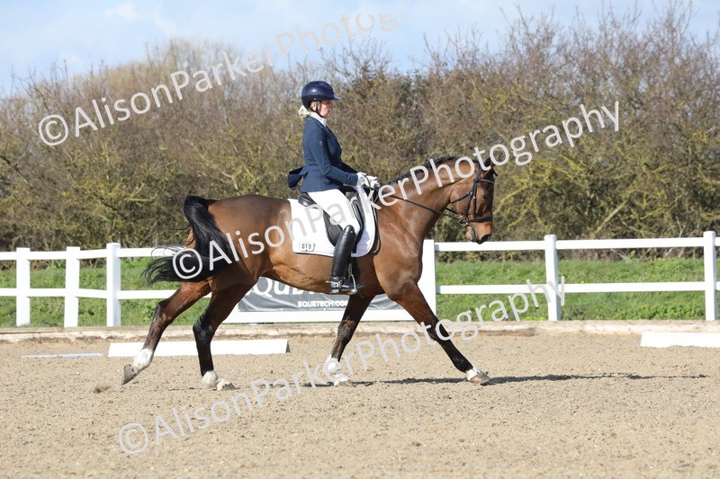 20260314-4943 - CT6 - Elementary 1