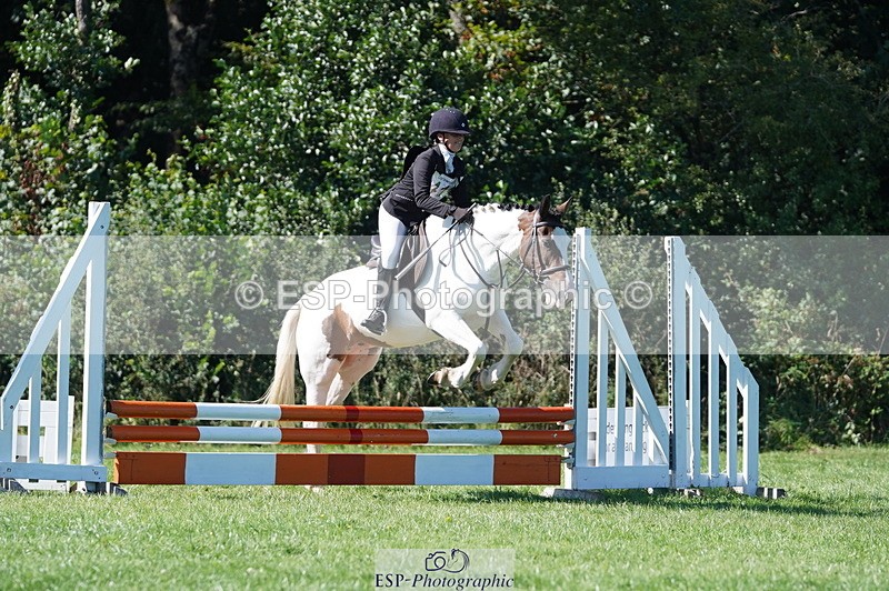 240811A-162240-06271 - 411-