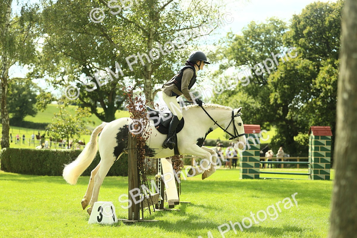SBM_44700 - S31 - Working Hunter Pony