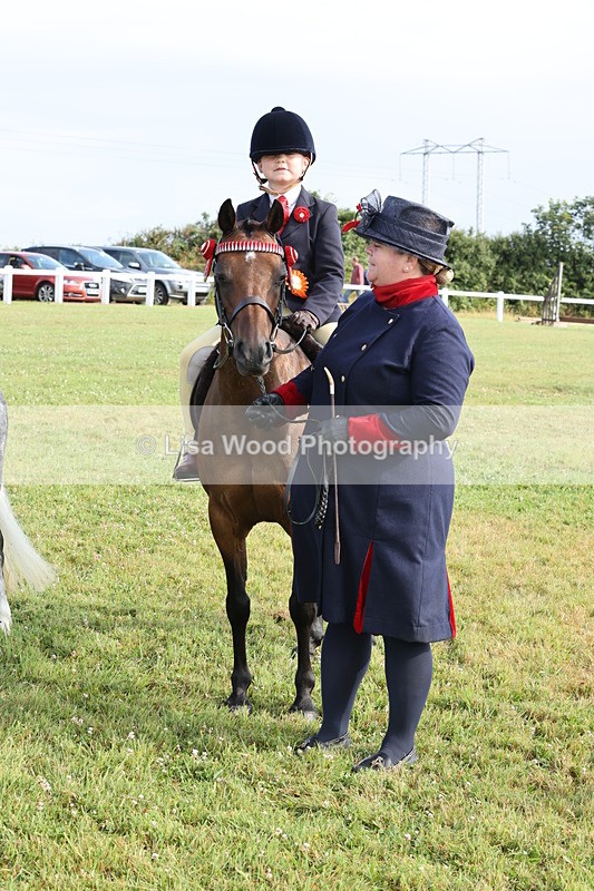 JPP_0472 - Class 14: Cornish Combination Leading Rein