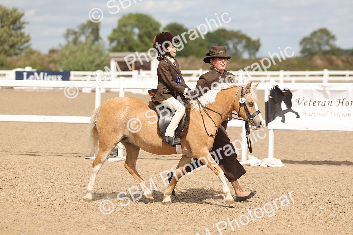 SBM_15859 - Class 309 - Lead Rein Pony