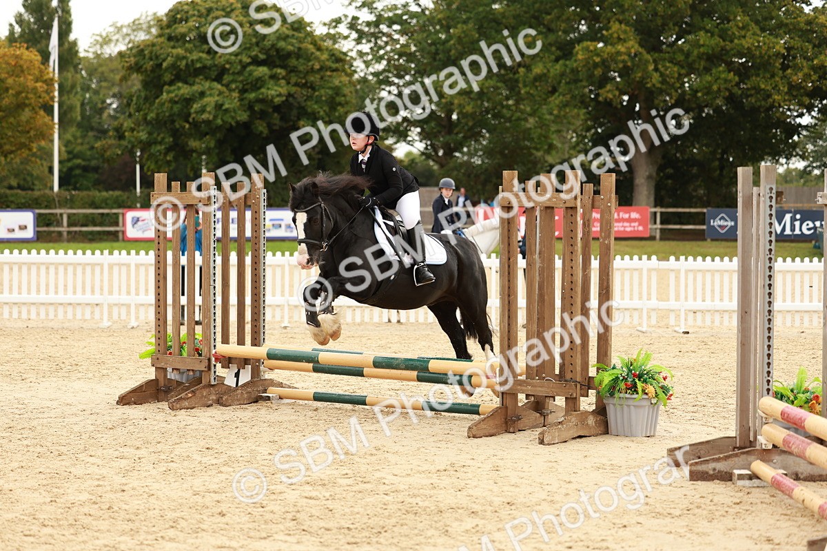 SBM_58020 - J11 - Junior Pony 50cm Championship