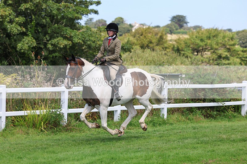 3E7A8697 - Class 5: Working Show Horse