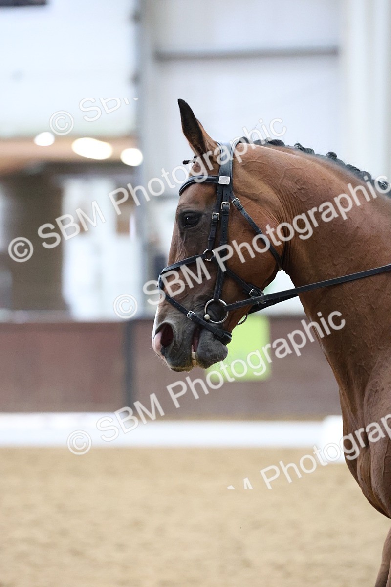 SBM_006844 - Class 22 - Medium 5 Silver