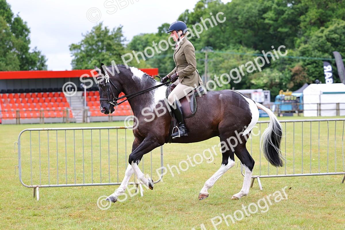 SBM_02510 - Class 9-11 Side Saddle including LIHS Rising Star Ladies Show Horse