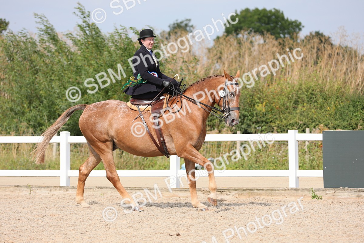 SBM_14646 - Class 211 Best Side Saddle Horse/Pony