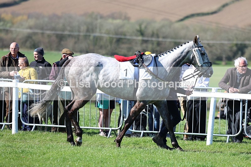 3E7A5619 - Race 6: Maiden (NWFAA)