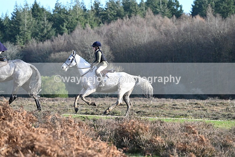 WJ7_7987 - Line 3 (no line 4 or 5)