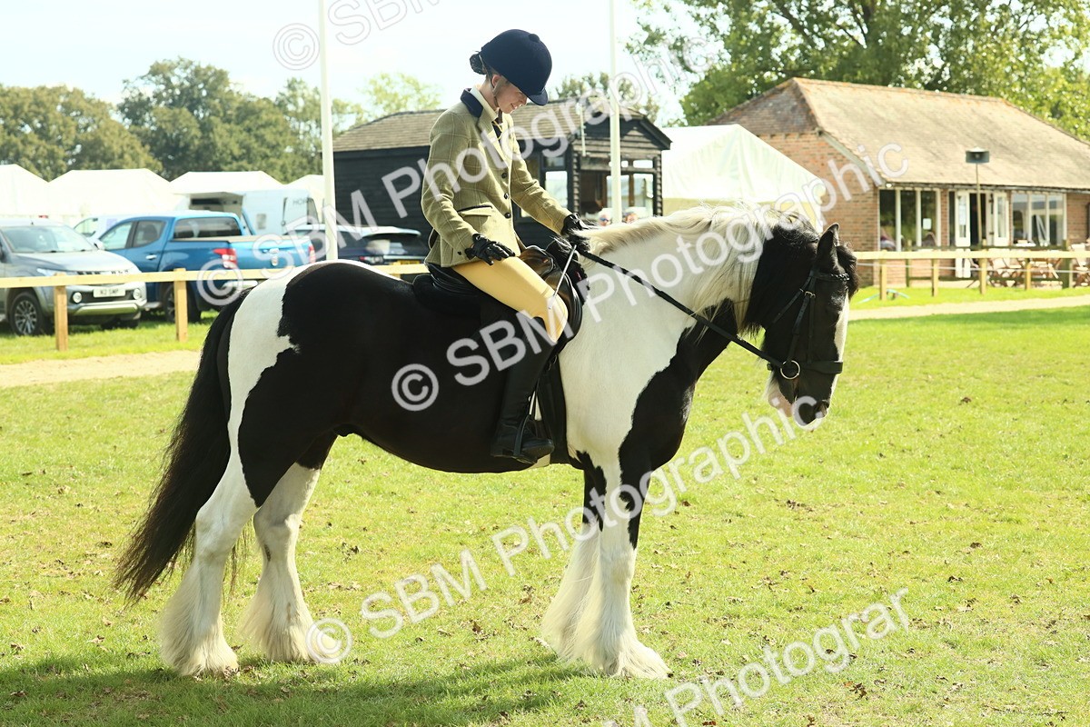 SBM_67612 - S56 - Coloured Pony Ridden