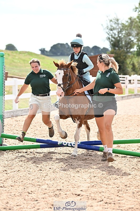 250821B-124300-00431 - Group D - Thomasina