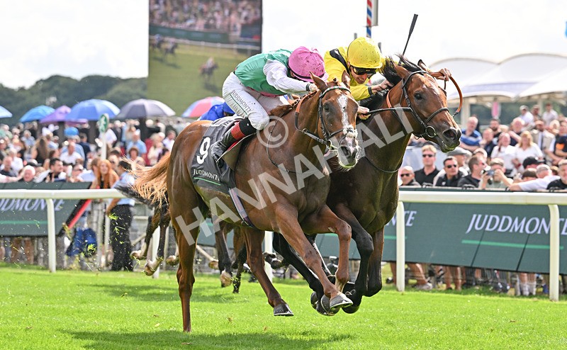 190826-126 Item - Race 4 15.35pm Juddmonte International Stakes