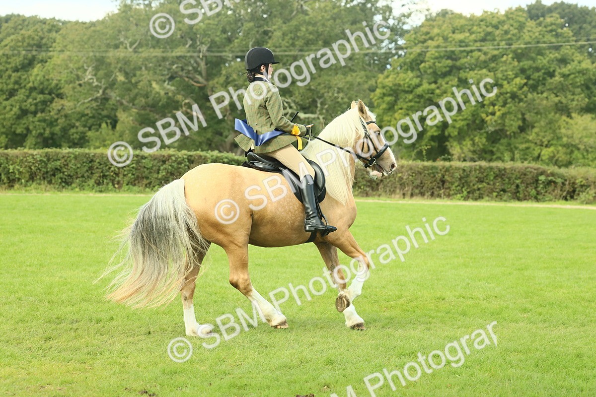 SBM_62713 - S63 - Other Coloured Horse Ridden