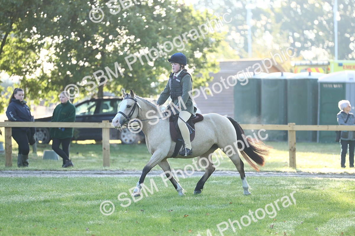 SBM_31835 - S28 - Nursery Stakes Working Hunter Pony