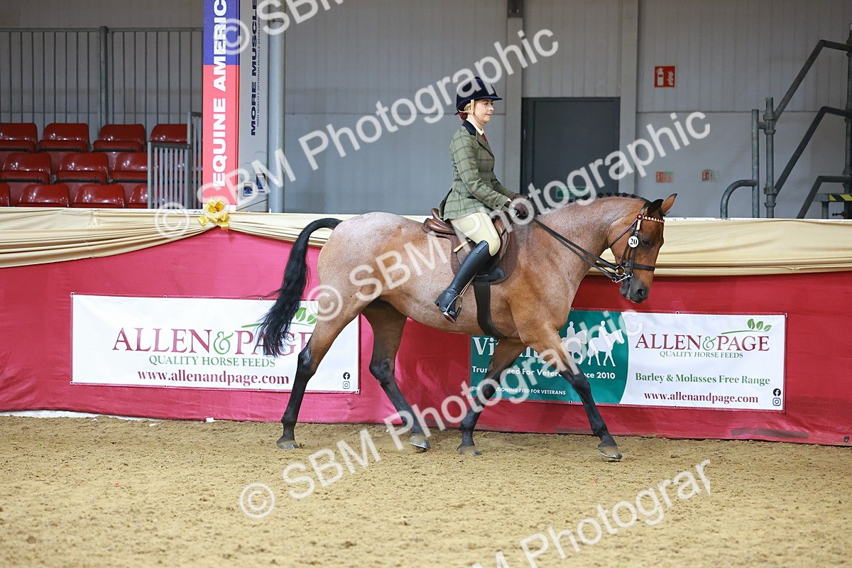 SBM_09363 - Class 102 - HOYS Veteran Qualifier - Ridden Veteran