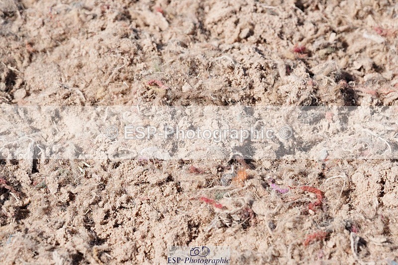 250503-152700-01625 - Cls 30+31 128cm and 138cm