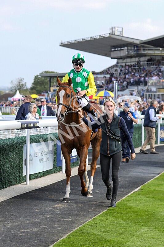 310824-Race 3-Frank The Spark-1383 - Race 3