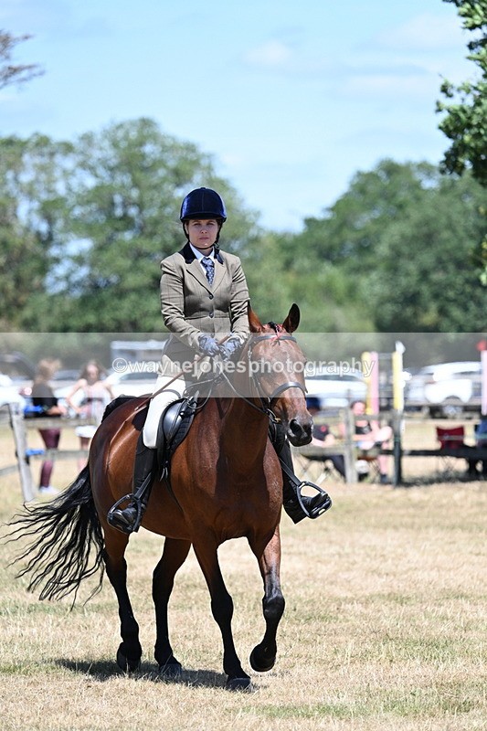 WJ7_3038 - Class 7 Riding Club Show Horse