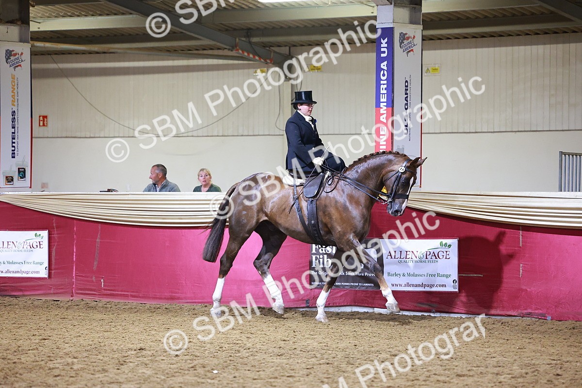 SBM_15010 - Class N - Side Saddle Champ