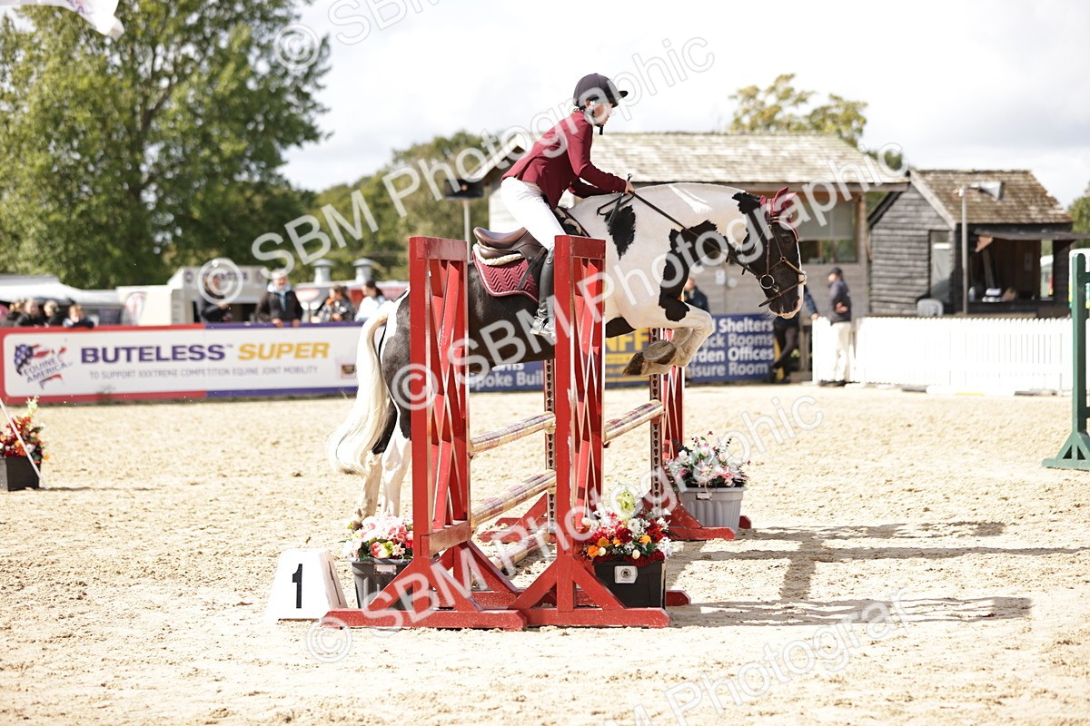 SBM_22395 - J59 - Clear Round 85cm