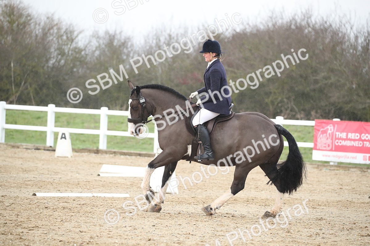 SBM_003088 - BRC Prelim B