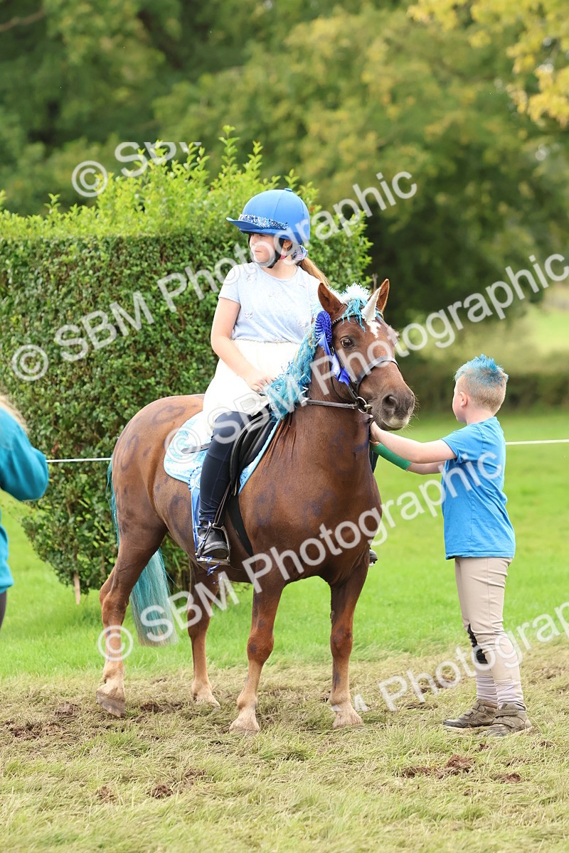 SBM_62164 - S37b - Best Unicorn