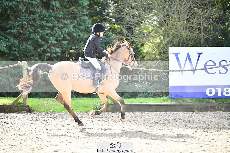 251004A-115006-00772 - Classes 4 & 5 50cm