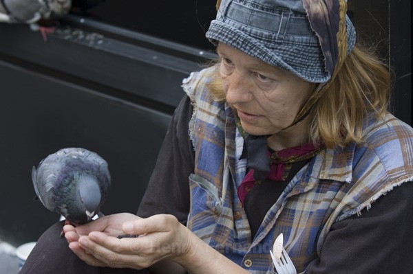 Assignment 2 - Pigeons - 2006 Finalist in Popular Photography's Photographer of the Year