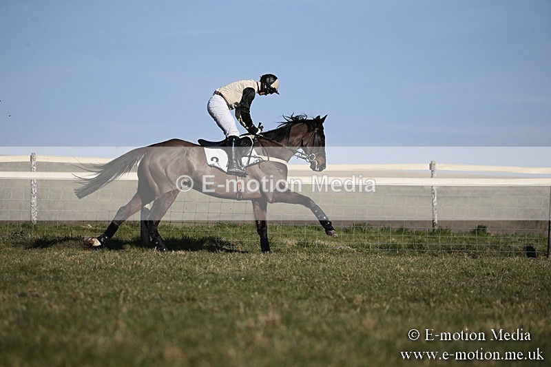 PtP 240218 457 - Vine & Craven Hunt Point-to-Point Barbury racecourse 24/02/18