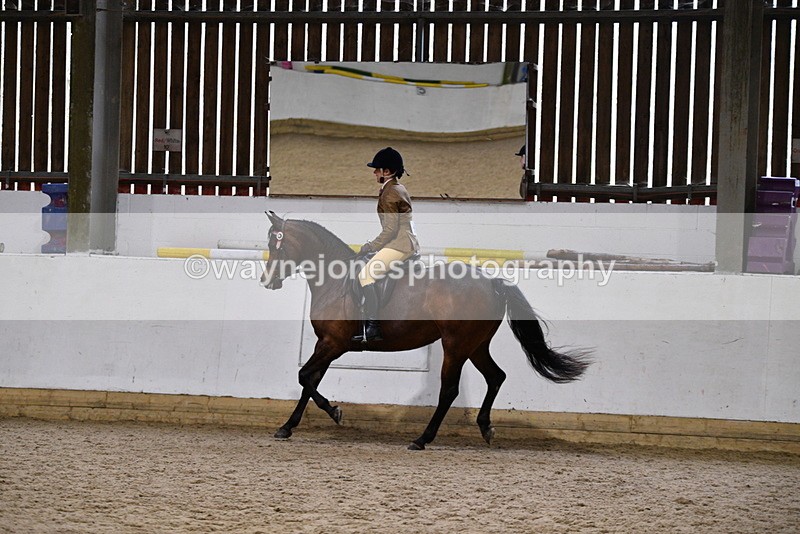 WJ5_8970 - Class 15 Ridden Show Horse