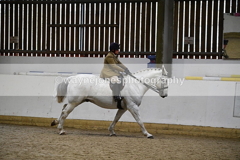 WJ5_9058 - Class 15 Ridden Show Horse