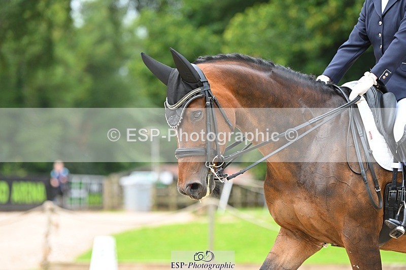 230813-113358-06638 - Cls 12 Elem Silver 10.35 to End