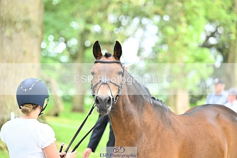 260528A-173919-05452 - A-106-Gracie.Cowley