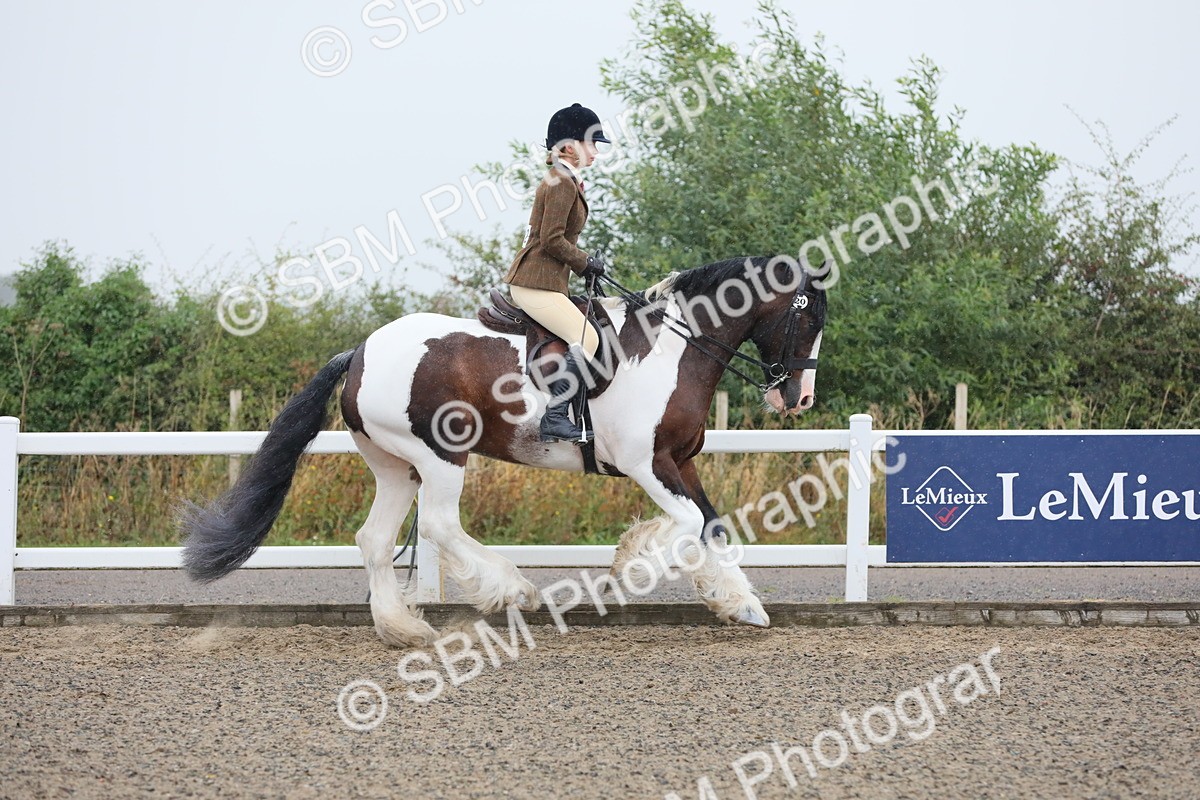 SBM_19864 - Class 801 - Ridden Veteran