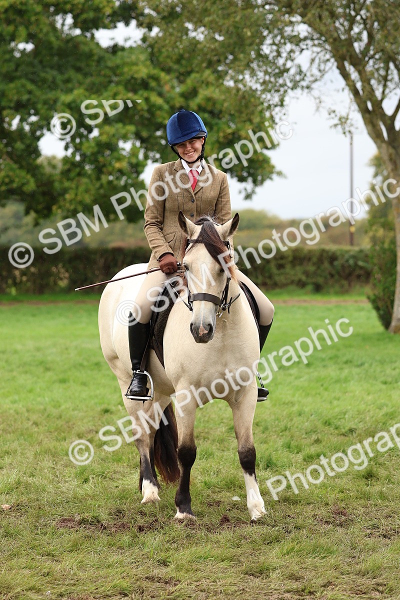 SBM_69615 - S62 - Mountain & Moorland Ridden Large Breeds