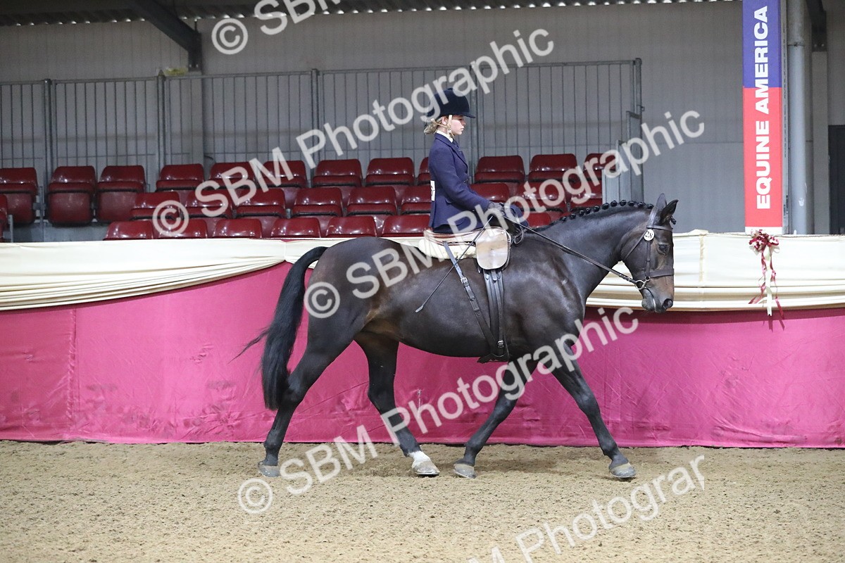SBM_09252 - Class 101 Equitation (best rider), Junior