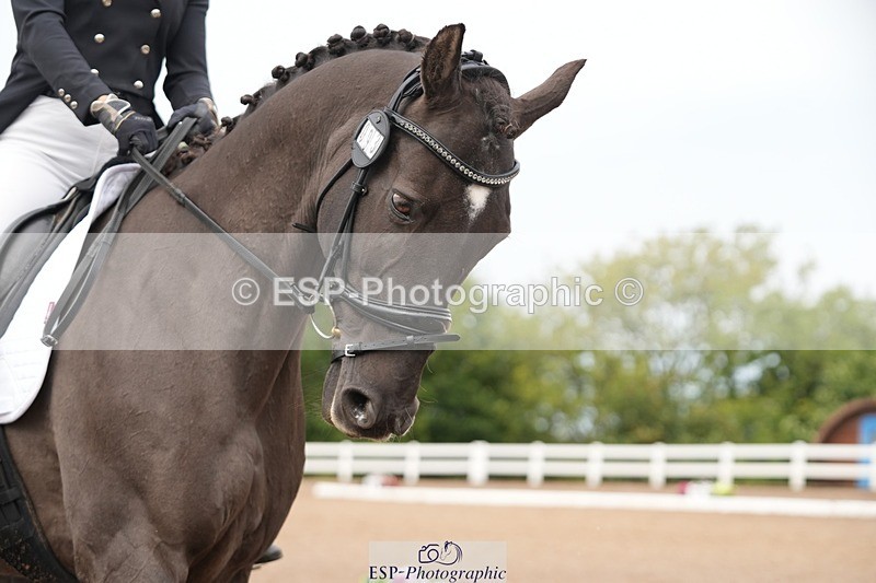 250907-113353-06110 - 093-Tia.RattyRolos.sweet.like.chocolate