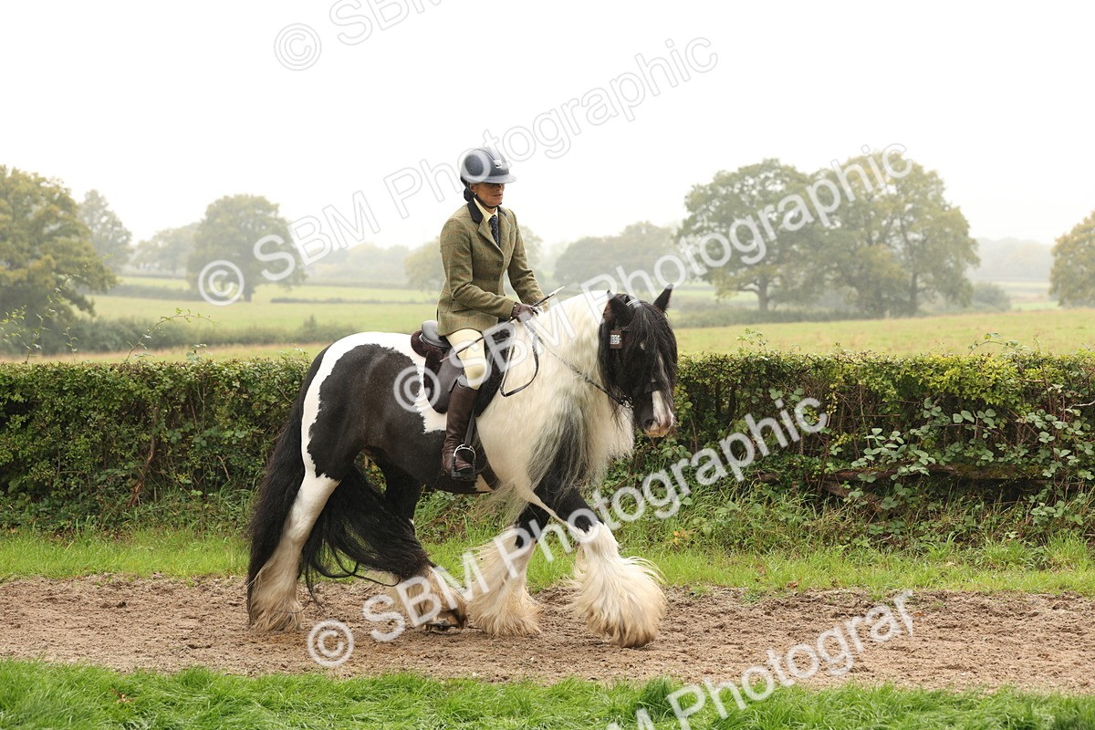 SBM_72694 - S70 - Traditional Cob Ridden