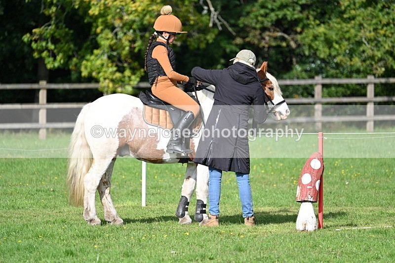 WJ7_3903 - 40cm Time 10:26 to 10:42