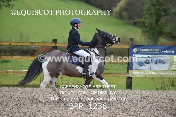 BPP_1236 - CLASS 4 Club/ Unaffiliated 80cms Open