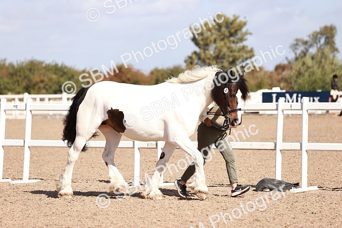 SBM_22952 - Class 707 - IH groom Helpers Class