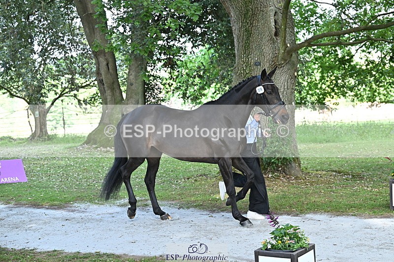 250521A-153221-00579 - B-316-Jasmine.Holmes-ARENT.I.LUCKY