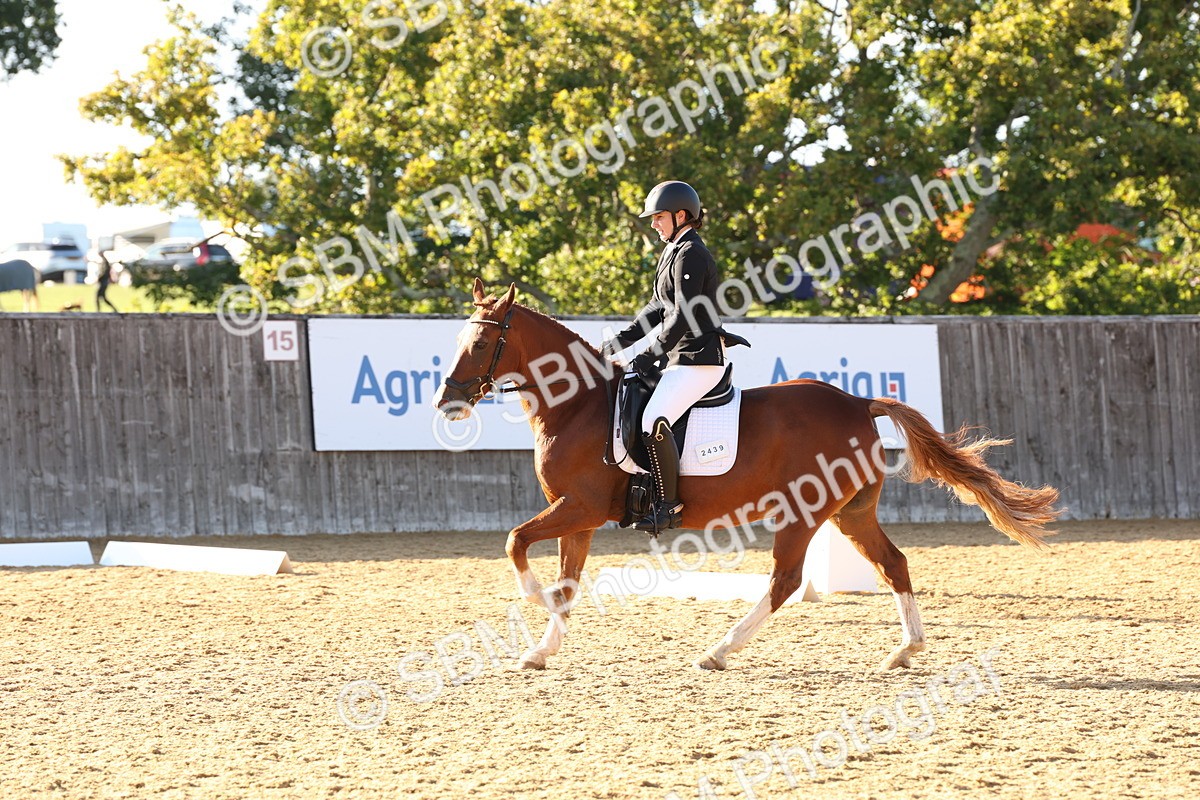 SBM_11681 - D9 - Small Tour Championship Prelim 3
