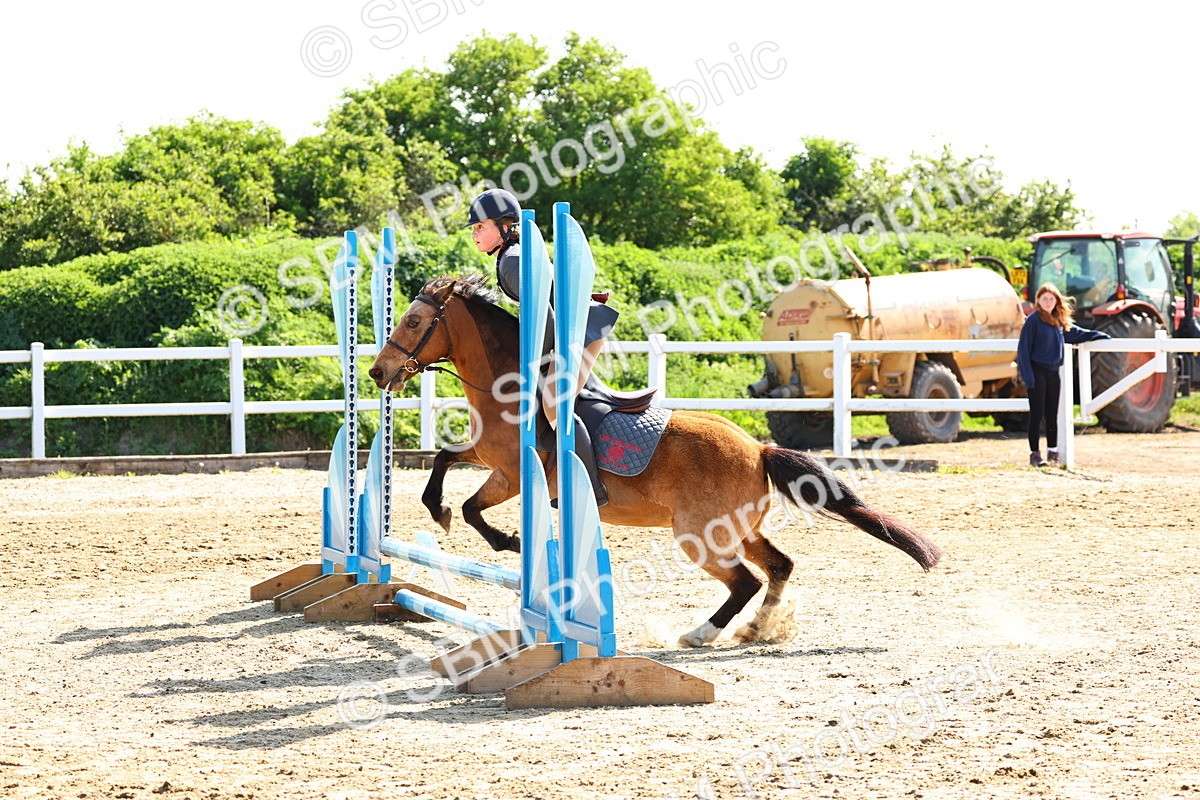 SBM_006652 - Class 2 - 50cm