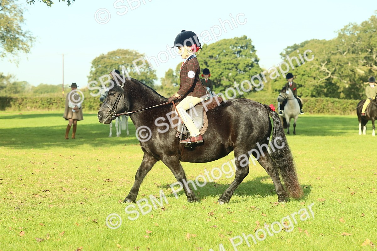 SBM_59201 - S38 - Starters Ridden Showing
