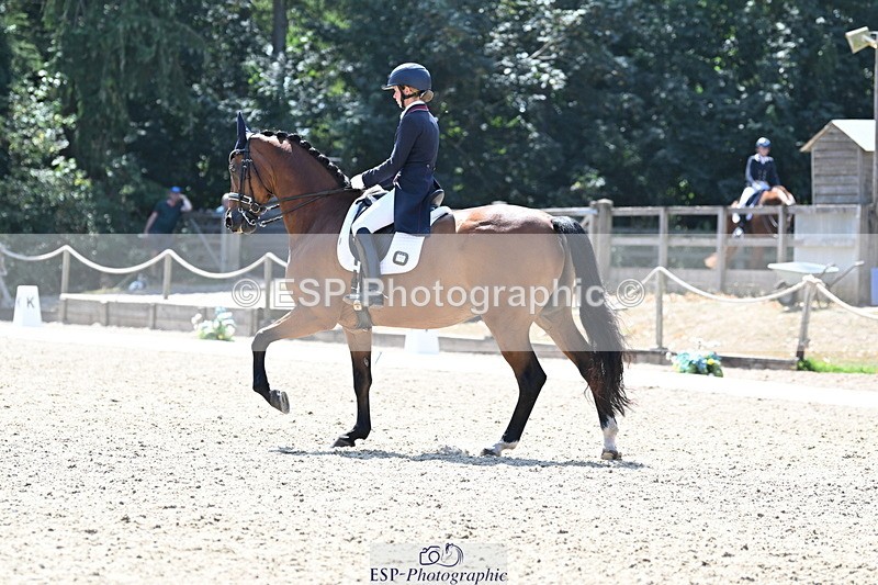 250810A-134931-07120 - 111-Elizabeth.AllenHeraldik