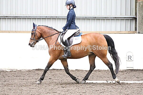 SIAL4985 - CAbin Dressage 5th july 2025