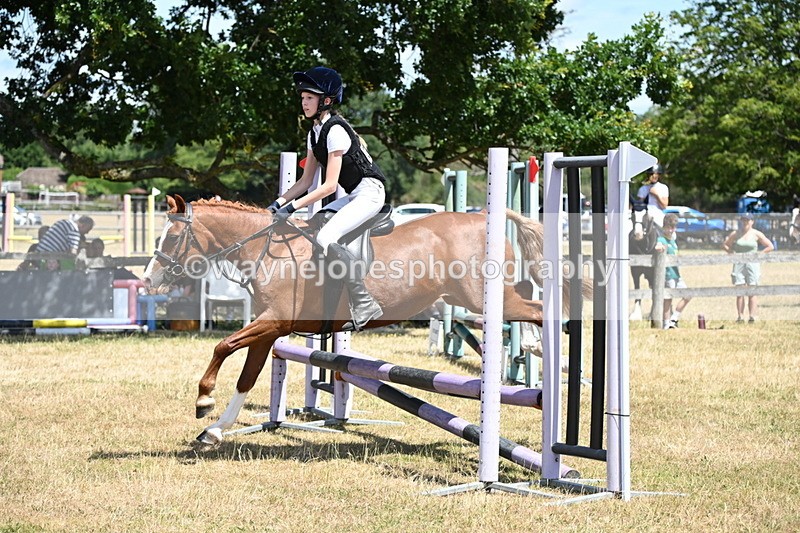 WJ6_5912 - Class 13 Novice 60cm
