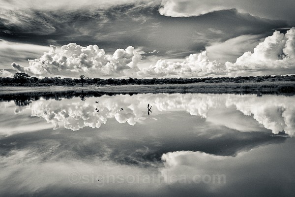 Namibia, Zambezi Region, Bwabwata National Park, Horseshoe